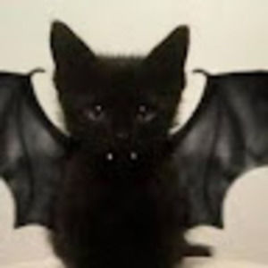 Meet your Posher, Embry